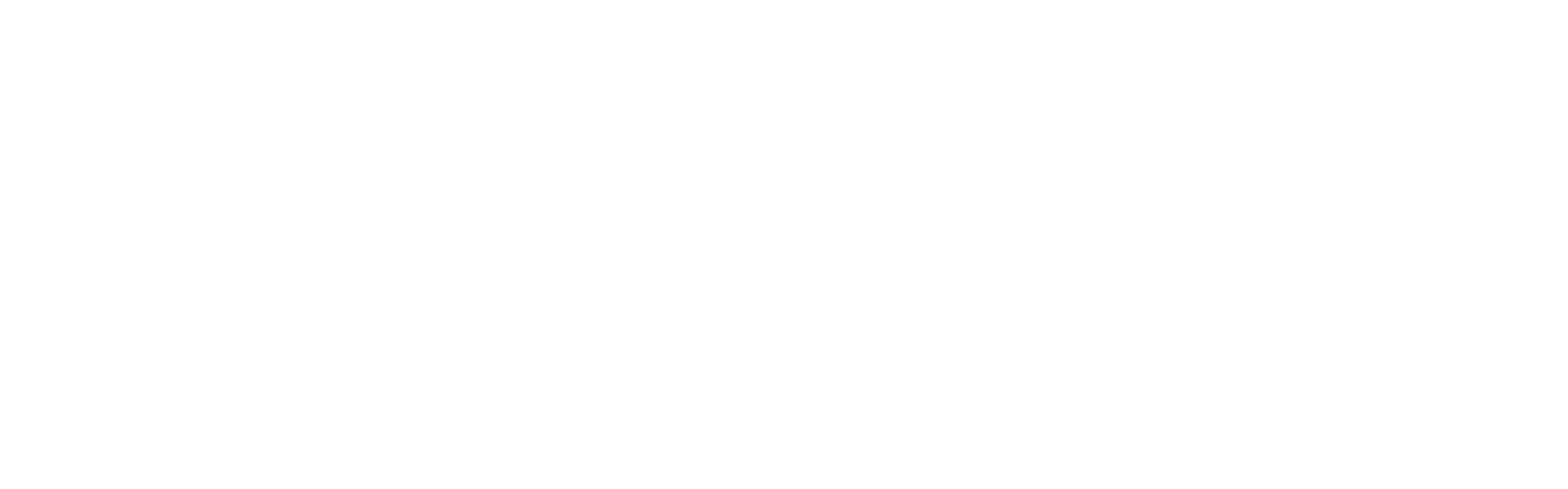 Best Practices Consulting