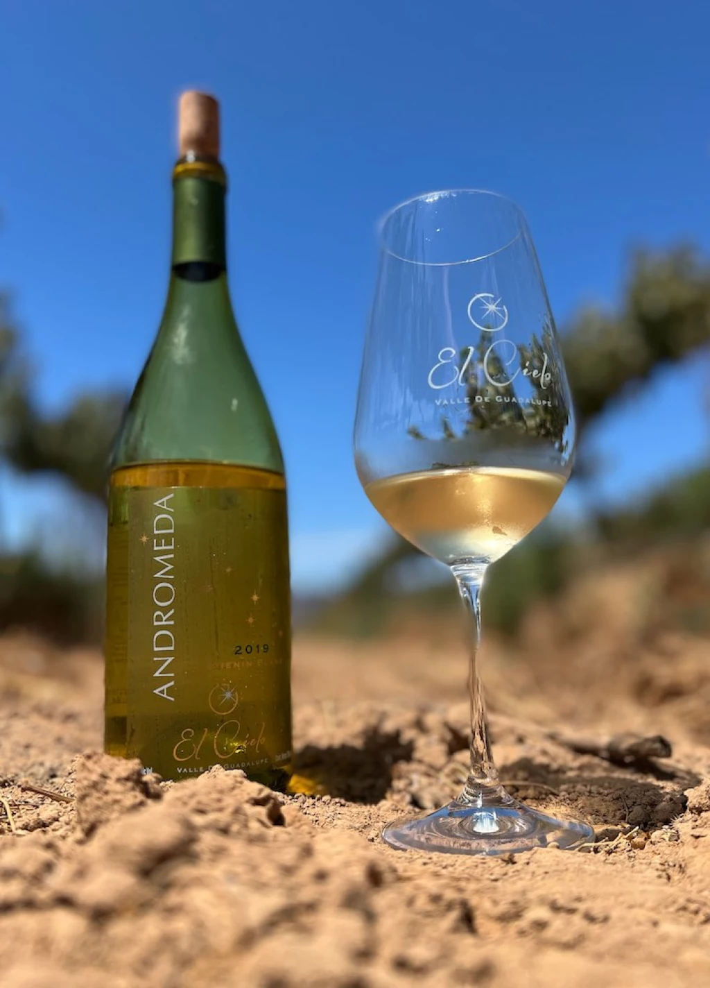 Viñedos de El Cielo